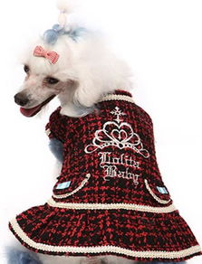 批發(fā)供應寵物食品 消化潔齒骨，1包起批，廠家直供，帶圖片詳情