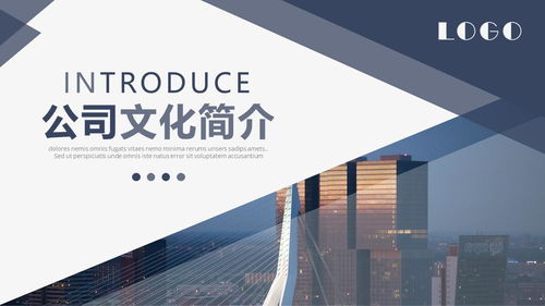 商務畫冊風公司簡介產(chǎn)品宣傳ppt模板